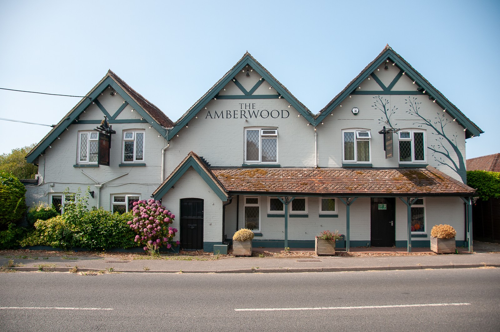 The Amberwood
